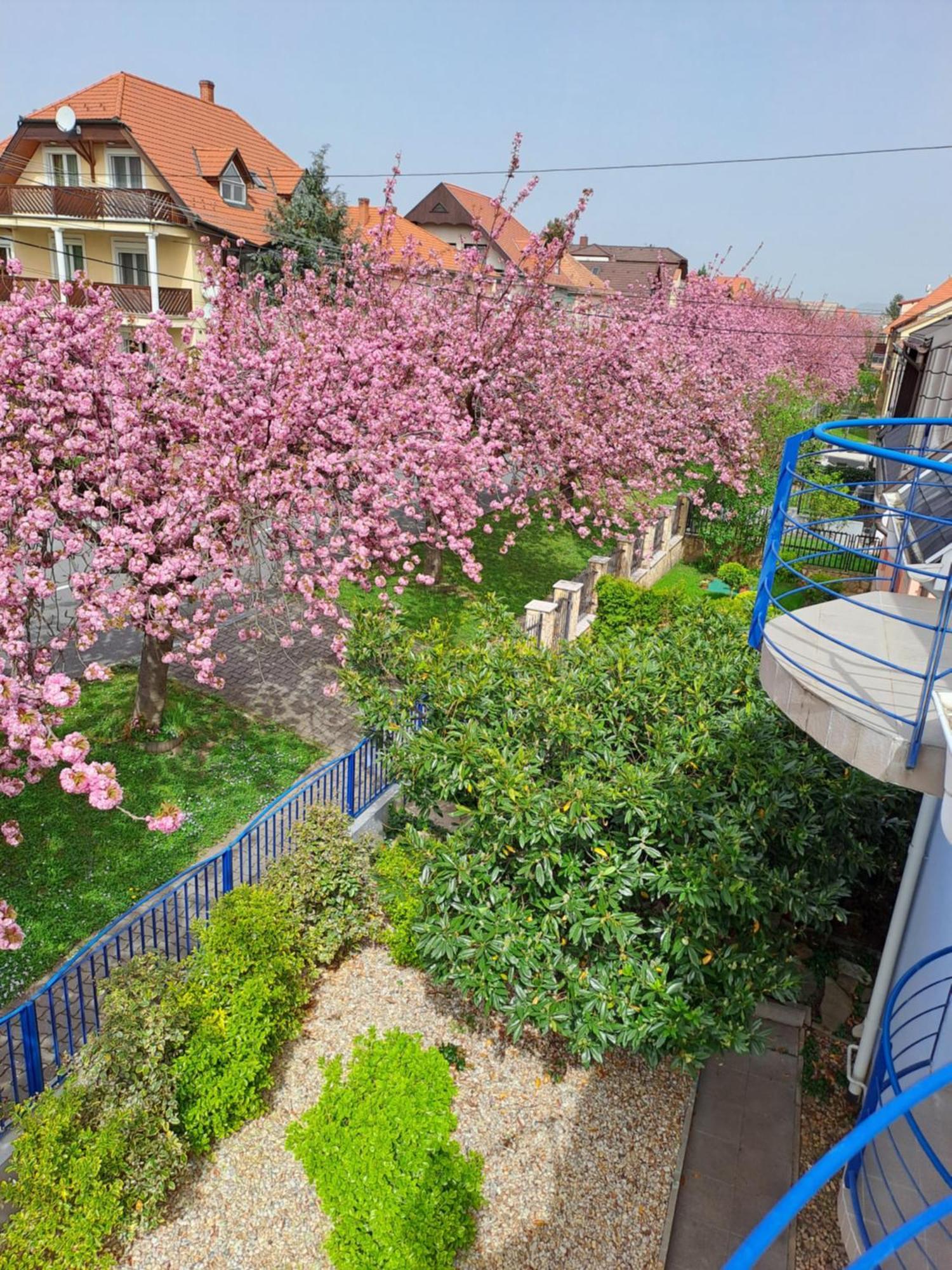 Laguna Apartmanhaz Hévíz Екстериор снимка